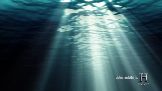 Le Creature del Mare