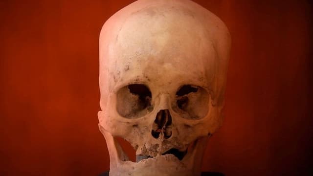 Le origini dell'Uomo